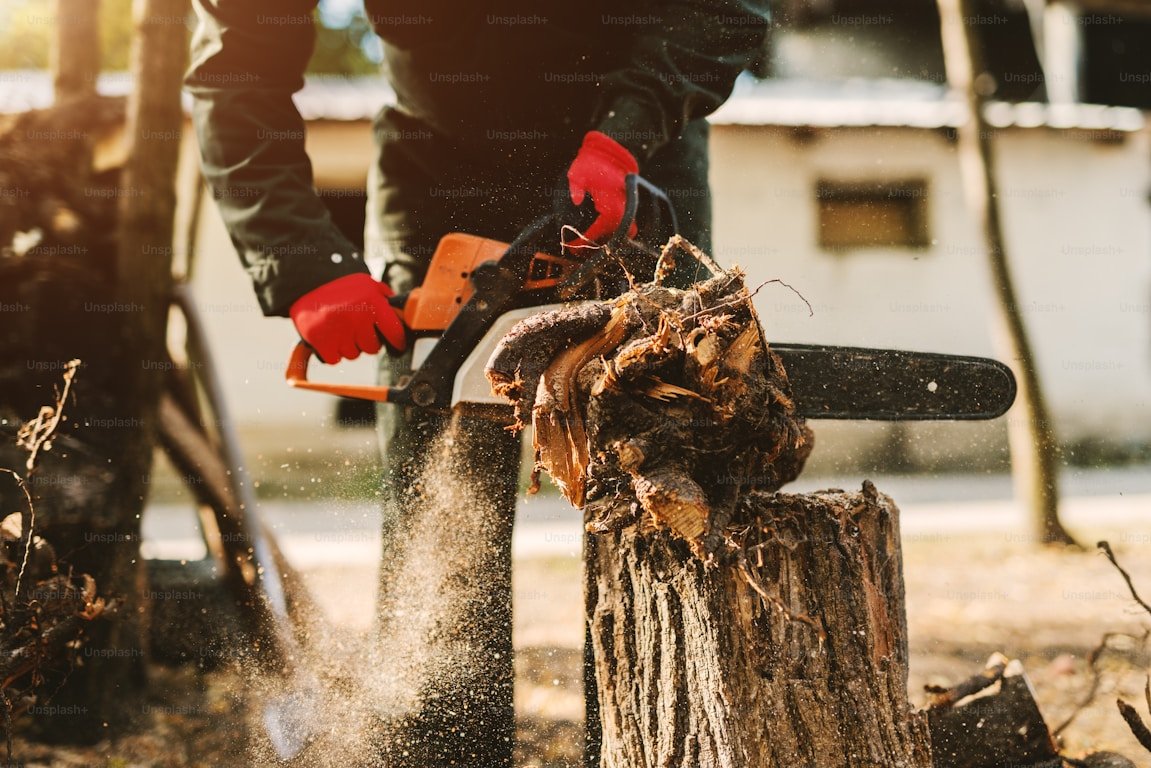 Get rid of the stump. Get back to your space.